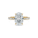 The Portia Ring