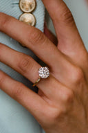 The Harlow Ring