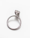 The Bella Ring