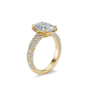 The Arden Ring