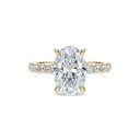 The Bella Ring