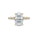 The Sutton Ring