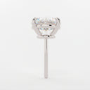 White Gold Side